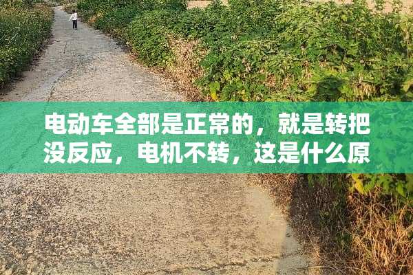 电动车全部是正常的，就是转把没反应，电机不转，这是什么原因？