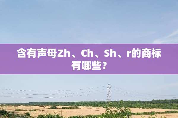 含有声母Zh、Ch、Sh、r的商标有哪些？
