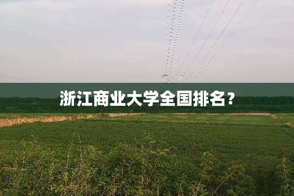 浙江商业大学全国排名？