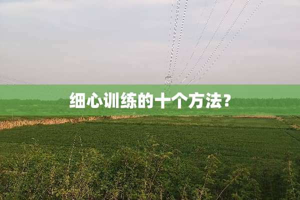 细心训练的十个方法？