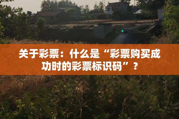 关于**：什么是“**购买成功时的**标识码”？