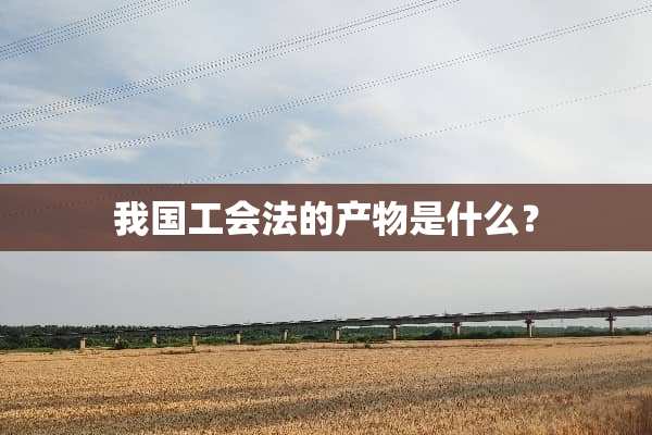 我国工会法的产物是什么？