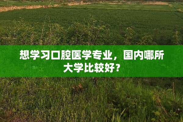 想学习口腔医学专业，国内哪所大学比较好？