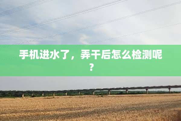 手机进水了，弄干后怎么检测呢？