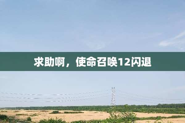 求助啊，使命召唤12闪退