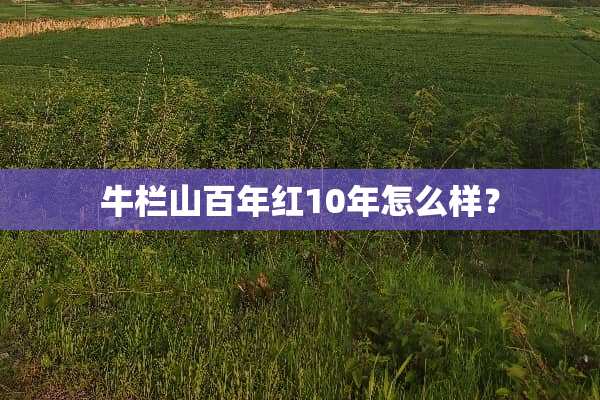 牛栏山百年红10年怎么样？