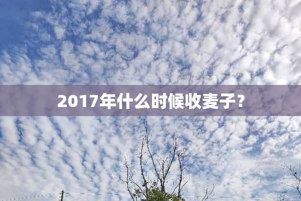 2017年什么时候收麦子？