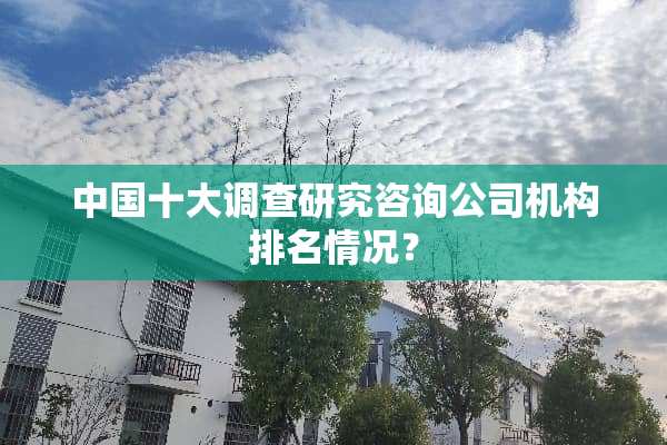 中国十大调查研究咨询公司机构排名情况？