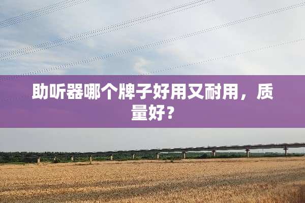 ***哪个牌子好用又耐用，质量好？