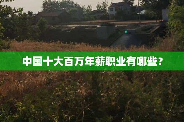 中国十大百万年薪职业有哪些？
