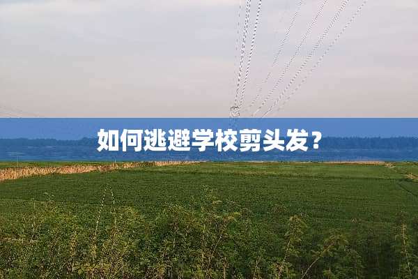 如何逃避学校剪头发？
