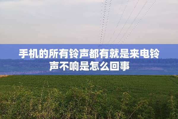 手机的所有铃声都有就是来电铃声不响是怎么回事