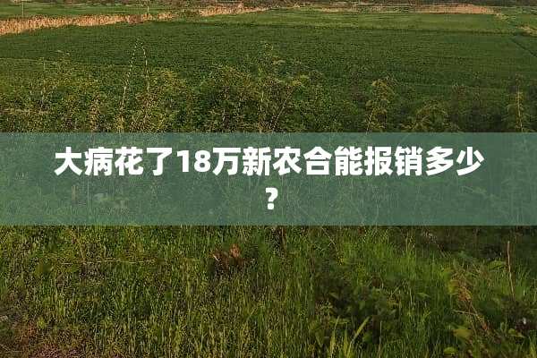 大病花了18万新农合能报销多少？