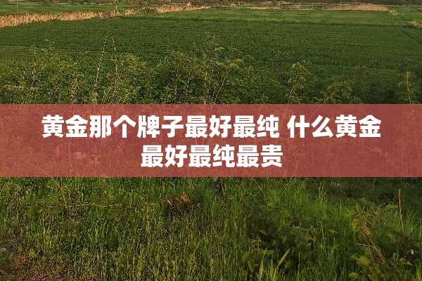 黄金那个牌子最好最纯 什么黄金最好最纯最贵