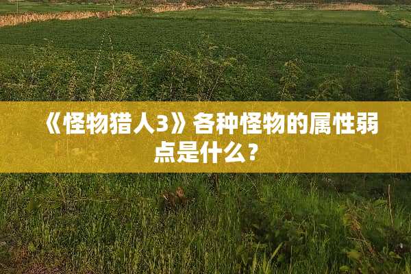 《怪物猎人3》各种怪物的属性弱点是什么？