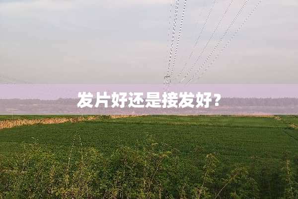 发片好还是接发好？