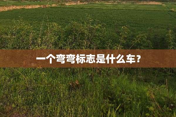 一个弯弯标志是什么车？