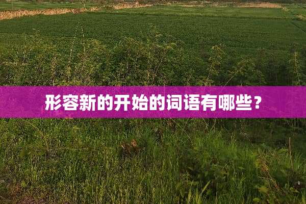 形容新的开始的词语有哪些？