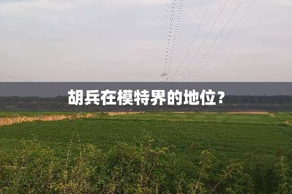 胡兵在模特界的地位？