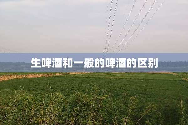 生啤酒和一般的啤酒的区别