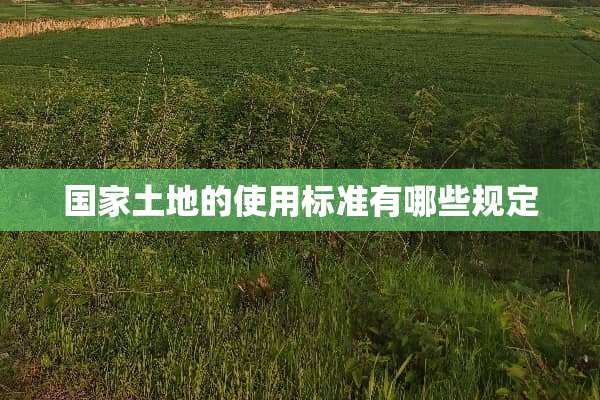 国家土地的使用标准有哪些规定