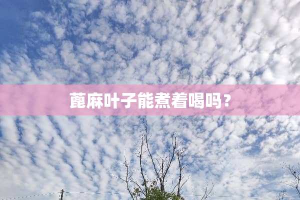 蓖麻叶子能煮着喝吗？