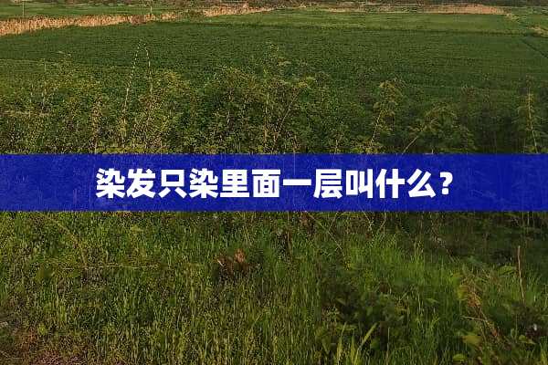 染发只染里面一层叫什么？