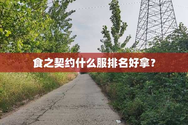 食之契约什么服排名好拿？