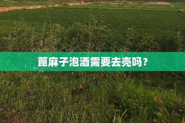 蓖麻子泡酒需要去壳吗？