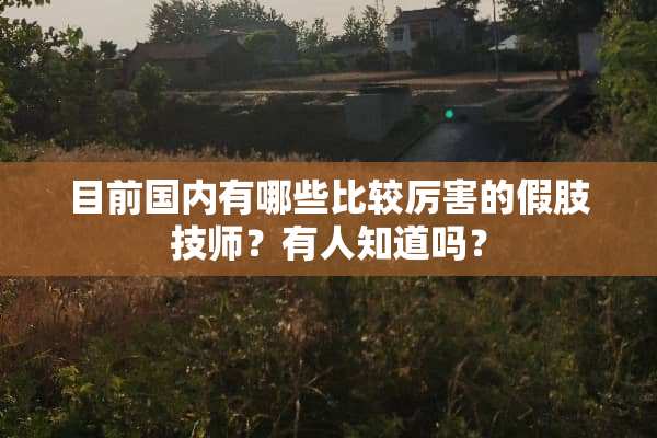 目前国内有哪些比较厉害的假肢**？有人知道吗？