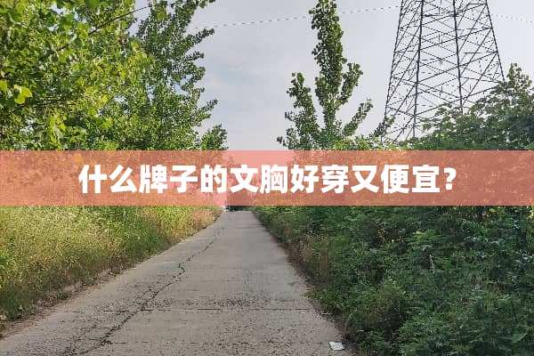 什么牌子的文胸好穿又便宜？