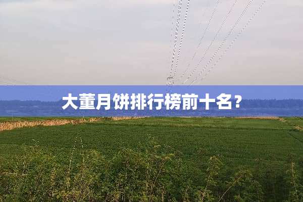 大董月饼排行榜前十名？