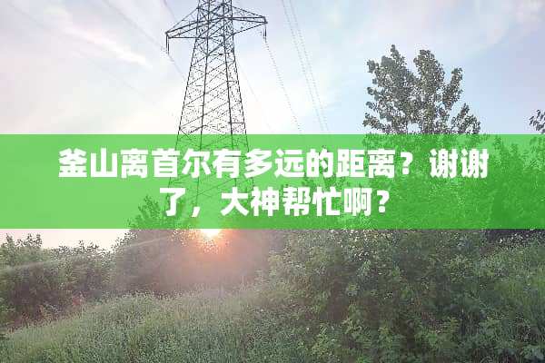 釜山离首尔有多远的距离？谢谢了，大神帮忙啊？