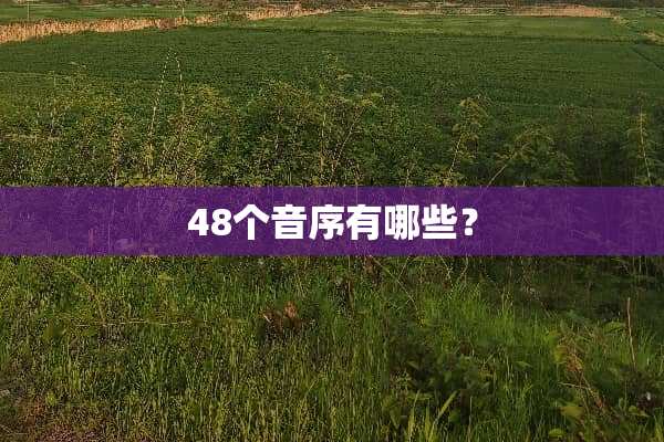 48个音序有哪些？