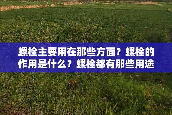 螺栓主要用在那些方面？螺栓的作用是什么？螺栓都有那些用途？