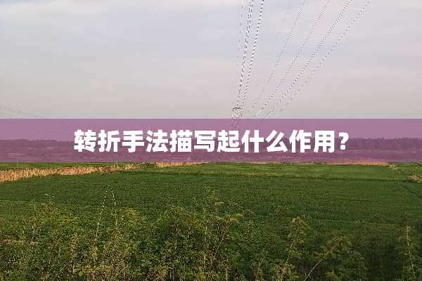 转折手法描写起什么作用？