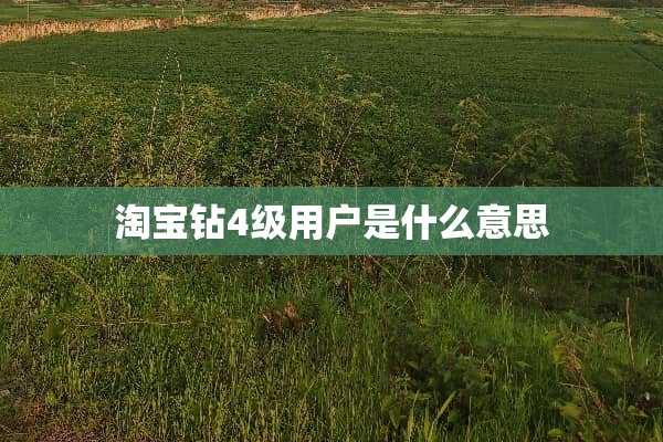 淘宝钻4级用户是什么意思