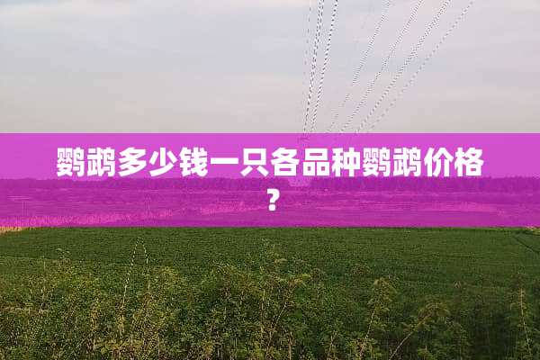 鹦鹉多少钱一只各品种鹦鹉价格？