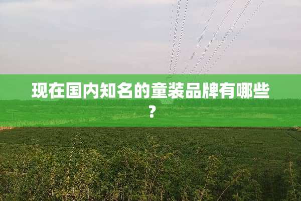 现在国内知名的童装品牌有哪些？