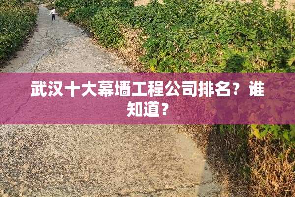 武汉十大幕墙工程公司排名？谁知道？