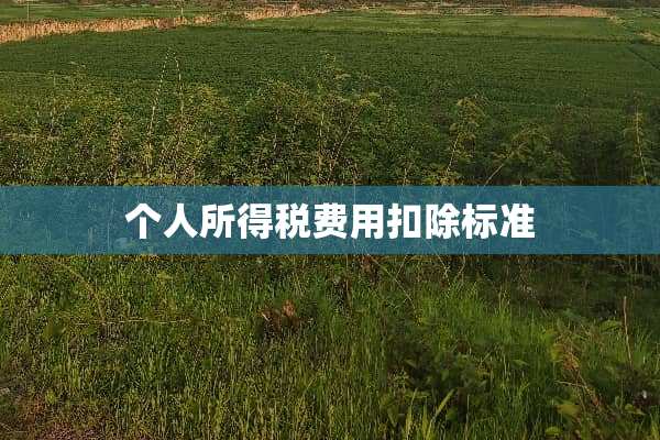 个人所得税费用扣除标准
