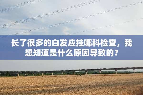 长了很多的白发应挂哪科检查，我想知道是什么原因导致的？