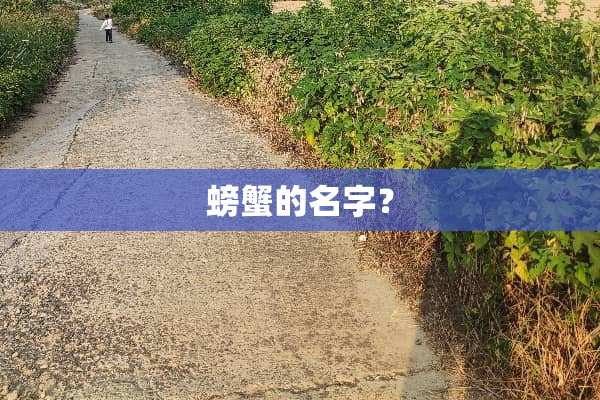 螃蟹的名字？