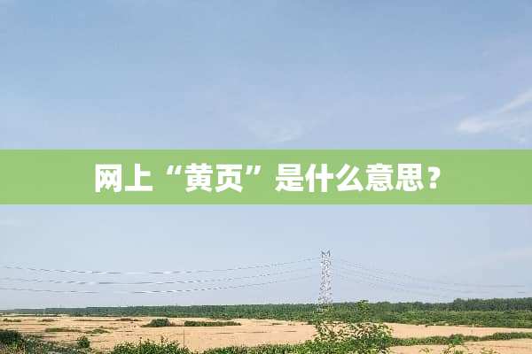 网上“黄页”是什么意思？