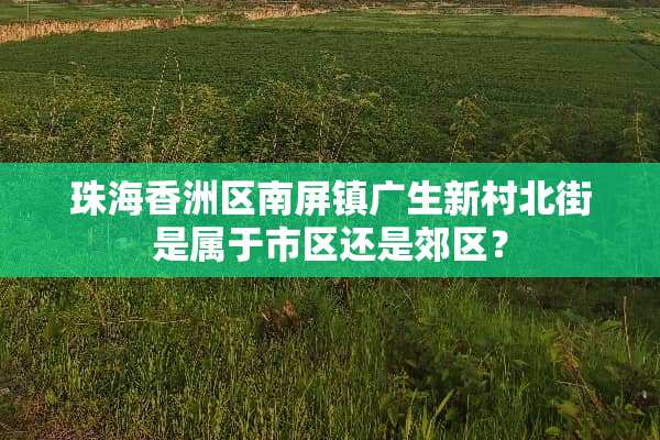 珠海香洲区南屏镇广生新村北街是属于市区还是郊区？