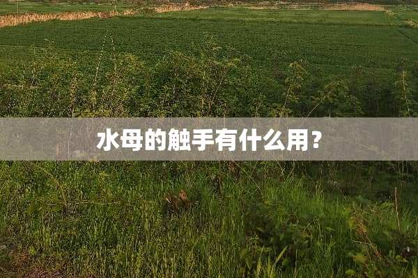 水母的触手有什么用？