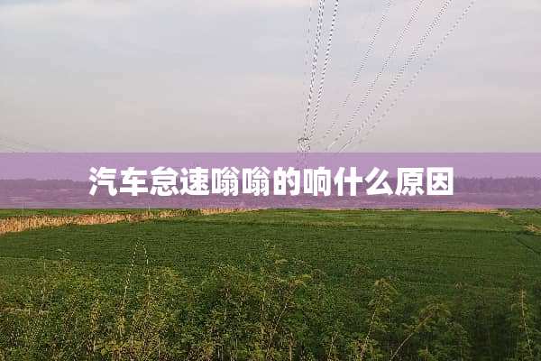 汽车怠速嗡嗡的响什么原因