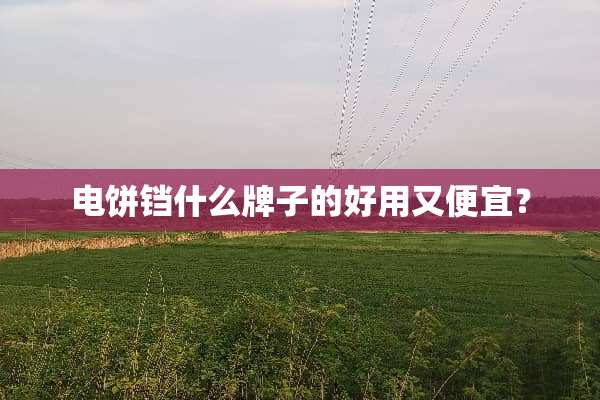 电饼铛什么牌子的好用又便宜？