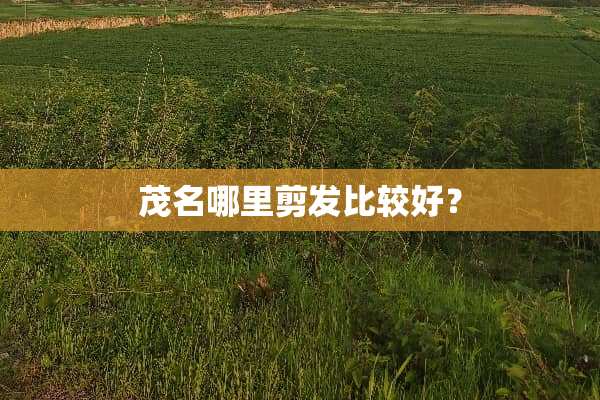 茂名哪里剪发比较好？