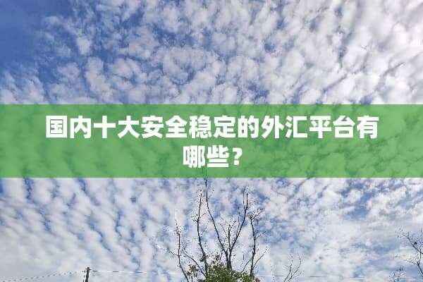 国内十大安全稳定的外汇平台有哪些？